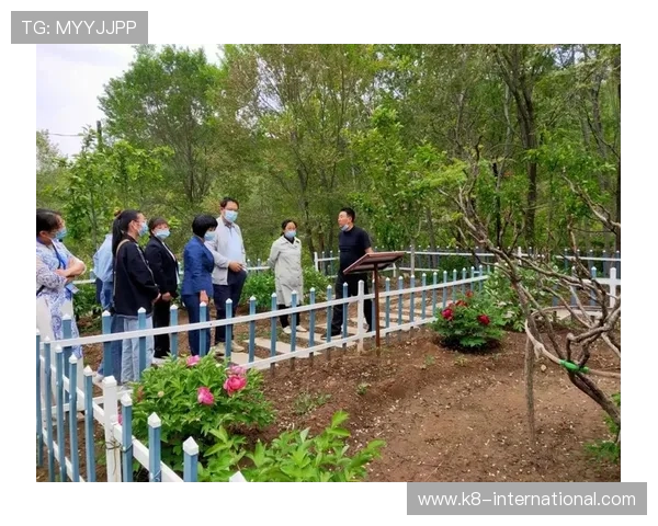 凯发真人注册平台怎么样：用户评价与行业专家的真实点评